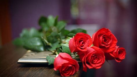 Best Red Roses Wallpapers Natural Full HD Download Free | Beautiful ...