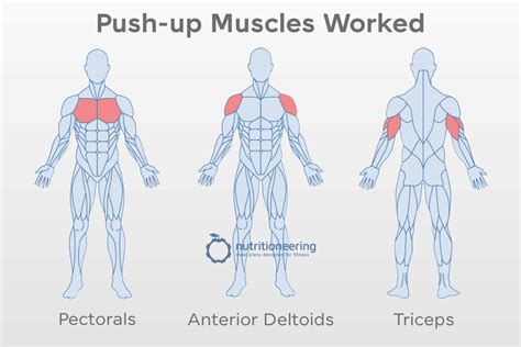 Press Up vs Push Up Exercises For Building Your Chest