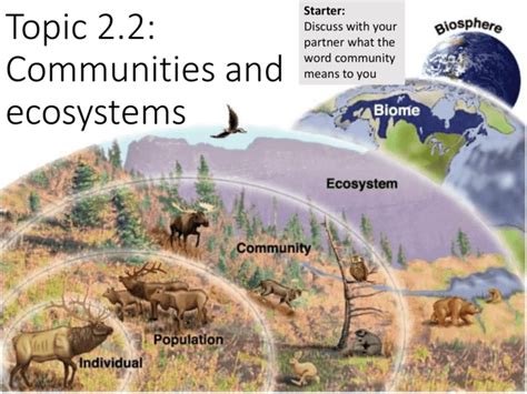 Topic 2.2: Communities and ecosystems