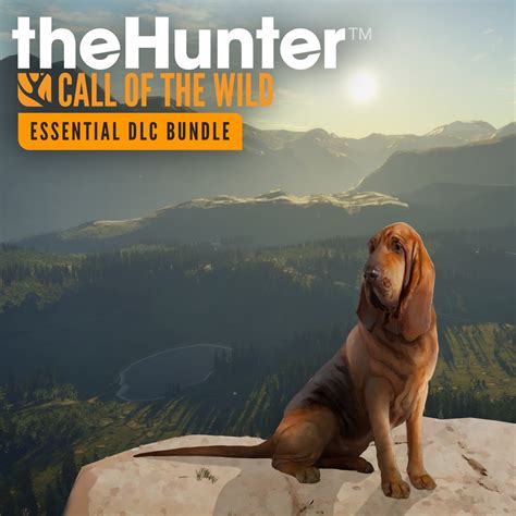 The Hunter Call Of The Wild Ps4 Dlcs | informacionpublica.svet.gob.gt