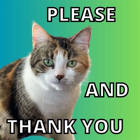 For Fun: Cat Lady Shares 18 Reasons To Thank Cats