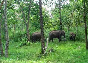 Top 10 Wildlife Sanctuaries in Kerala | Insights India