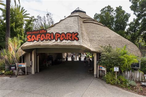 San Diego Zoo Safari Park Discount Tickets