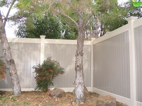 Trees For Backyard Fence - Amazing Backyard Ideas