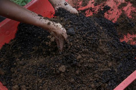 Soil Preparation for Successful Planting in Australia