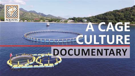 Marine Aquaculture in Indonesia | A Cage Culture Documentary - YouTube