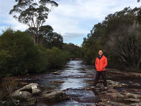 The Dharawal National Park (Darkes Forest) - All You Need to Know BEFORE You Go - Updated 2020 ...