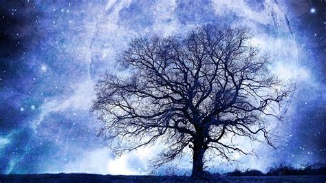 Download Tree Fantasy Nature Moon HD Wallpaper