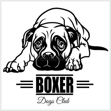 Boxer - Vector Illustration for T-shirt, Logo and Template Badges Stock Vector - Illustration of ...