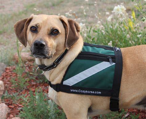 SERVICE DOG Vest small to medium dog Hunter Green water