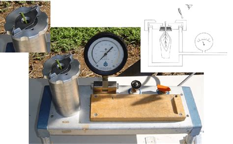 Pressure chamber used to determine water potential in plants. Photo:... | Download Scientific ...