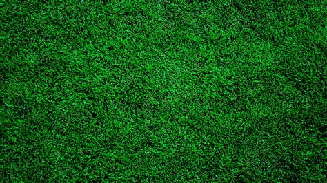 1920x1080px, 1080P Free download | For > Dark Green Grass Backgrounds ...