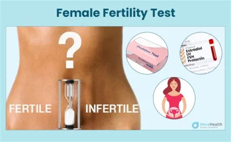 Female Fertility Test: Cost, Blood Test, Preparation, Result