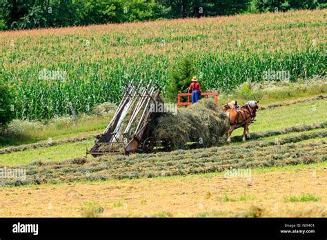 Amish farming equipment hi-res stock photography and images - Alamy