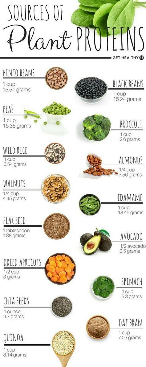 Plant based proteins #plantbased #protein #foodinfographic | Plant based diet, Healthy eating ...