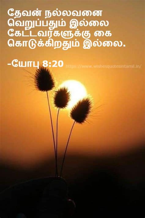 Tamil Bible Vasanam | Jesus Tamil Vasanam | Jesus Vasanam In Tamil | Bible Quotes In Tamil ...