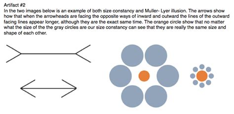 36. Size constancy and Muller Lyer illusion - Psychology!