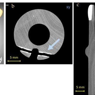 Original and 3D render of the Piccolo Flute body (a) and CT horizontal... | Download Scientific ...