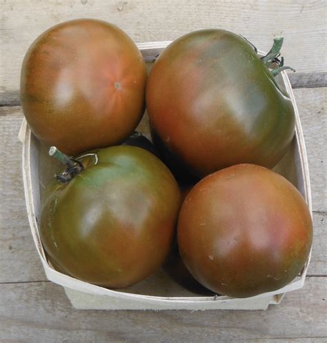 Black Prince Tomato