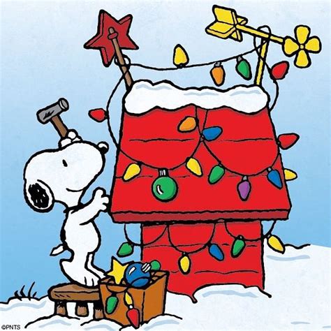 635 best images about Snoopy on Pinterest | Mondays, Happy december and Friday dance