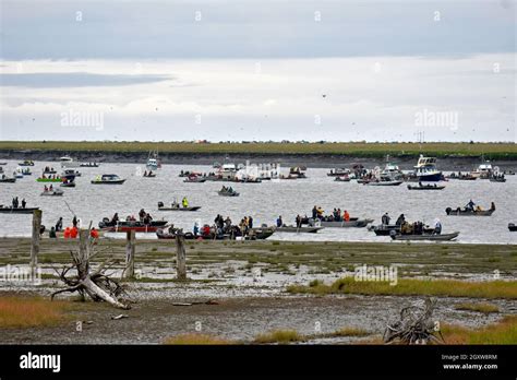 Popular recreational fishing during the salmon run season at the Kenai River mouth, Kenai ...