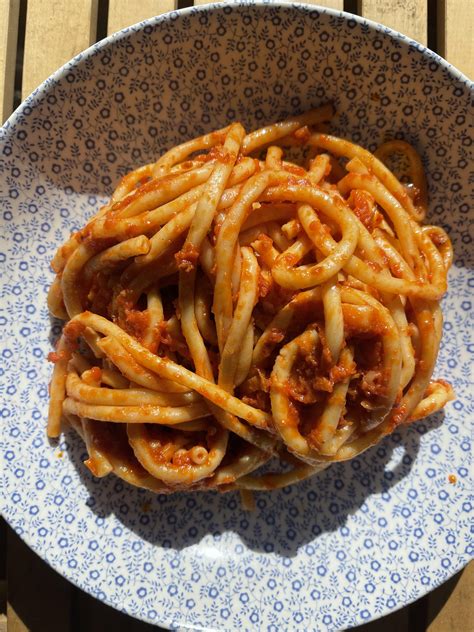 Perciatelli with tomato, onion, garlic, parm. : pasta