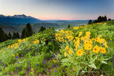 Snow King Mountain Summit Trail - Gros Ventre Mountains