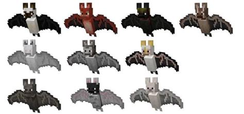 Bat | Expanded Minecraft Wiki | Fandom