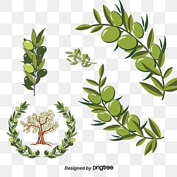 غصن PNG Transparent Images Free Download | Vector Files | Pngtree