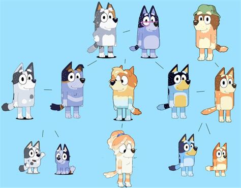 (Bluey) family tree | Cute kawaii animals, Character design, Cartoon