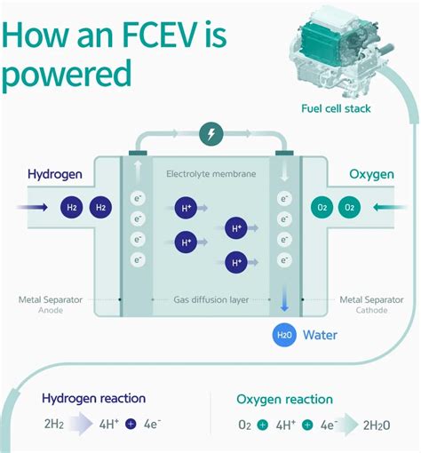 Hydrogen Cars: Pros, Cons, & Everything You Need to Know