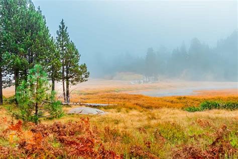 San Bernardino National Forest Camping Guide - Beyond The Tent