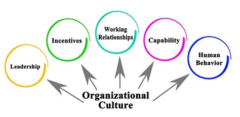 organizational culture examples