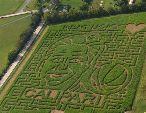 Aerial view of 2011 Giant Corn Maze | Aerial photo of the co… | Flickr