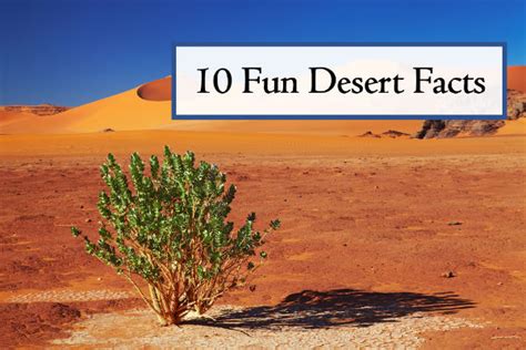 10 Fun Desert Facts for Geography Awareness Week - HelpTeaching.com