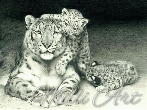 "Mother" Graphite pencil drawing of a mother Snow Leopard and her cubs | Snow leopard art, Snow ...