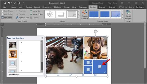 Make a collage with microsoft office picture manager - freeloadsgg