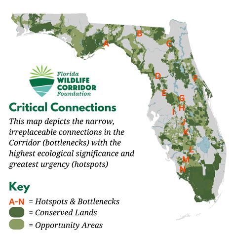 Maps | Florida Wildlife Corridor Foundation