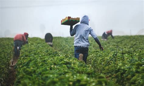 Thank You Farmers : Empowering the Backbone of Our Food Supply - Bunchofthanks