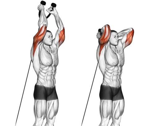 Overhead Two Handed Triceps Extension