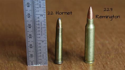 22 Hornet vs 223: Which is Better? - eatingthewild.com