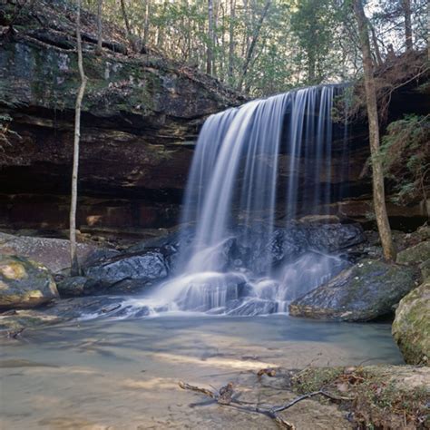 Double Springs, Alabama: Nature's Paradise in William B....