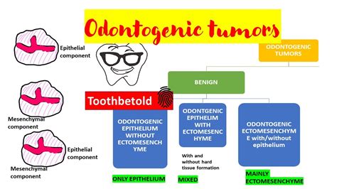 Odontogenic tumors | Overview | Classification - YouTube