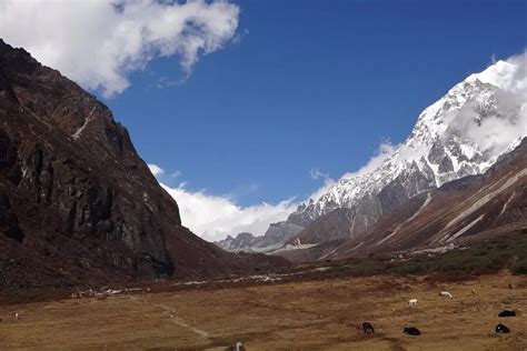 Yuksom Dzongri Trek | Yuksom to Dzongri Trekking in Sikkim