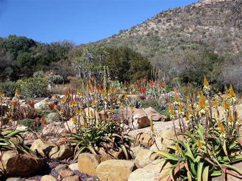 Walter Sisulu National Botanic Garden