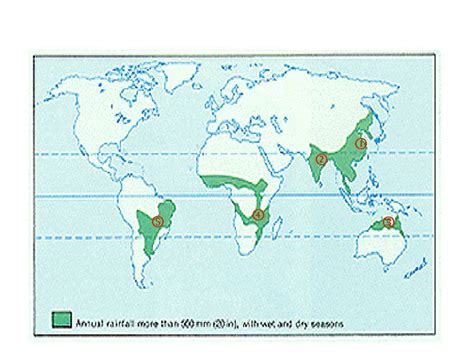 world map of tropical monsoon region - Brainly.in