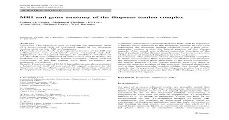 MRI and gross anatomy of the iliopsoas tendon complex - [PDF Document]