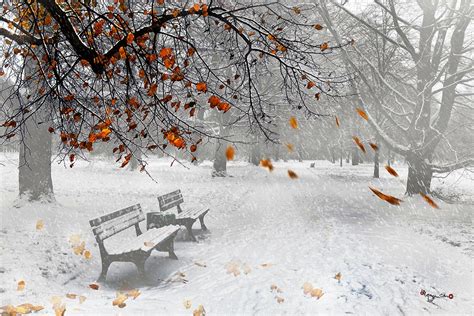 Wonderful Picture: Ngắm Bộ Hình Ảnh Đẹp Mùa Đông Đã Về