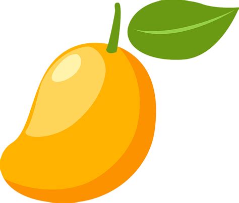 Mango vector - Mango PNG image & Mango Clipart | Buah