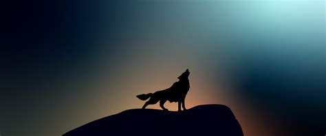 2560x1080 Wolf Howling 4k Wallpaper,2560x1080 Resolution HD 4k ...